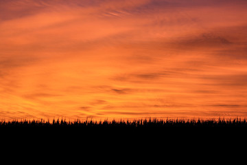 Orange cloudy sunset
