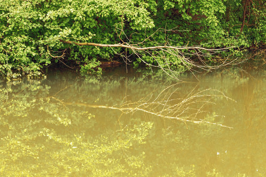 Reflections in the Loing riverin Montargis