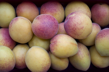 Ripe orange and red apricot closeup. Fruit background
