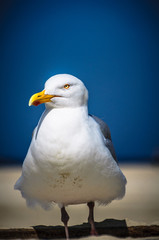 Töwerland Maiimpressionen