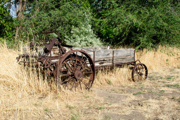 Fototapeta na wymiar Old Wagon among the weeds