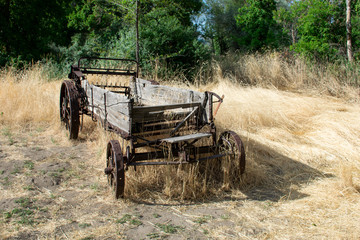 Fototapeta na wymiar Old Wagon in the Field