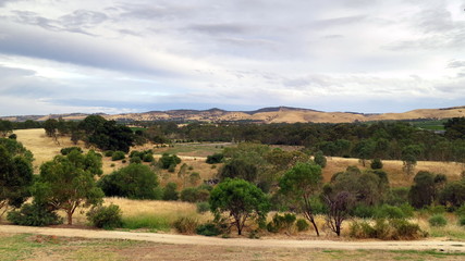 Landscape in Barossa Valley, South Australia