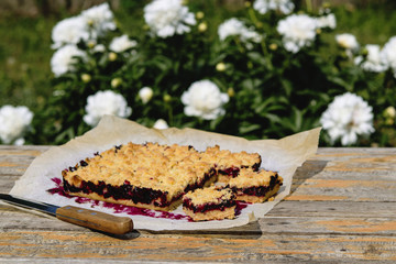 Honeysuckle crumble cake on vintage wooden table in blooming summer garden. Homemade streusel berries pie. Breakfast lunch outdoors