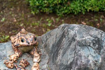 Stone frog