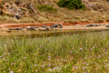 Georgioupolis town and beautiful lanscapes on Crete, Greece