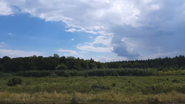 Colorful spring summer landscape on forest with beautiful clouds in the sky, shooting from a car that goes on the road along the woodland, dynamic scene, 4k video.