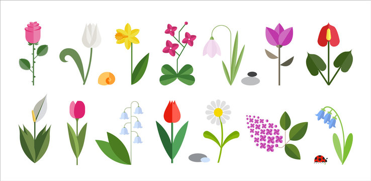 Flower flat icon set isolated on white. Cute design in bright colors. Various Flowers including rose, tulip, orchid, Espatifilo, bells flowers, Bellis perennis, bulb flowers.