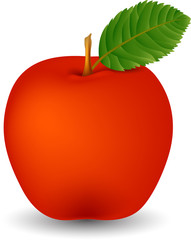 Red Apple isolated on white background