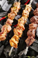 Set of Shish Kebabs or Barbecue Shashlik Collection on Charcoal Background with Herbs and Spices