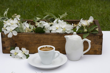 on a white canvas is a cup of coffee, a teapot and a box of apple tree branches