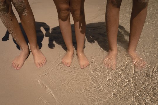 Low section of siblings standing in water at beach