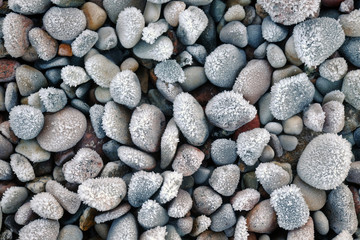 Oszronione kamienie na bałtyckiej plaży