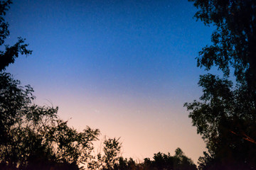 Fototapeta na wymiar Sunset and night dark blue sky in forest with bright stars as space background