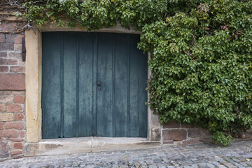 Altes Tor mit Efeu (Hedera) bewachsen © AnnaReinert