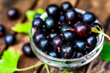 Ripe blackcurrant in glass bowl close