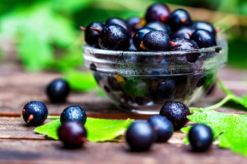 Ripe blackcurrant in glass bowl close