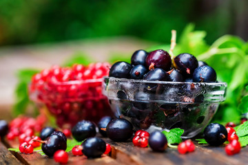 Ripe redcurrant and blackcurrant in glass bowls