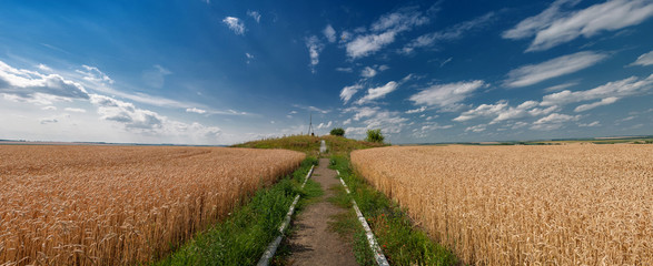 Struve Geodetic Арк for measuring the land in the wheat field of Ukraine.