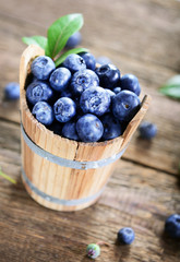 Freshly picked blueberries