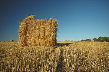 Hay bale on field with wheat straw and sky in the farm land at summer.