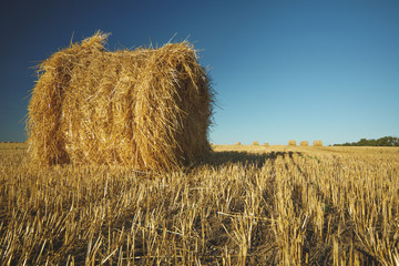 Hay bale on field with wheat straw and sky in the farm land at summer.