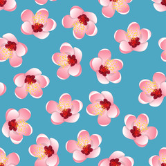 Momo Peach Flower Blossom on Blue Background