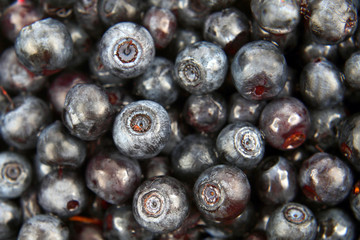 plenty of fresh blueberries closeup
