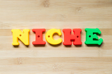 Color plastic alphabet in word niche on wood background