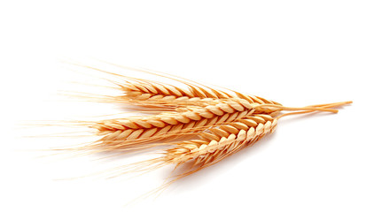 Wheat ears corn isolated on a white background - 212775911