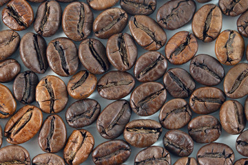 coffee beans on white background