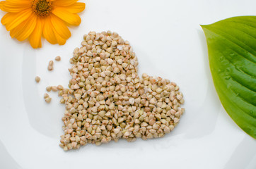 photo of germinated buckwheat on a white plate next to a green leaf and a yellow flower