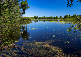 Obraz premium Mud Lake View 2