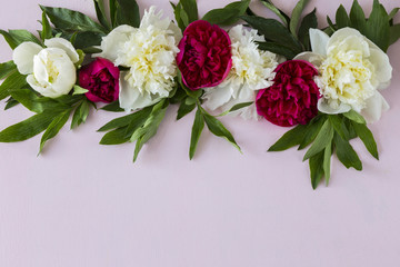 on a pink background peonies and free space