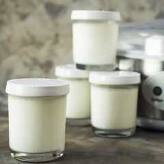 Four jars with homemade yogurt next to a yoghurt machine on a gray background. Dietary food