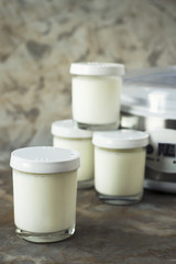 Four jars with homemade yogurt next to a yoghurt machine on a gray background. Dietary food