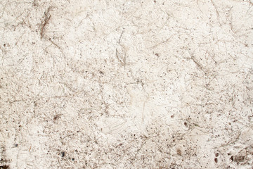 Nature and background of Pine leaves fall on the sand.