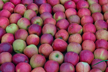 Apfel