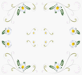 Fototapeta premium Background with daisies. White abstract background with daisies.