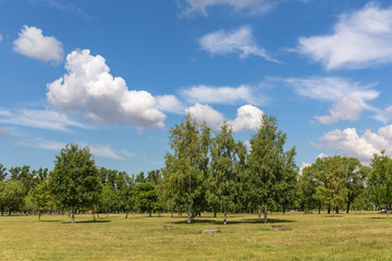 park on a sunny summer day