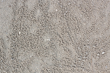 ์Nature outdoor the sand is a grain of crab.