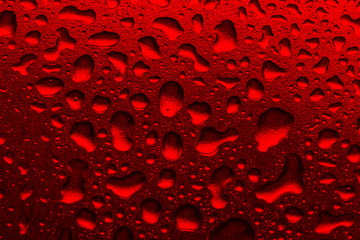 Red background with water droplets close-up. Horizontal photo