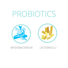 Probiotics Lactobacilli and Bifidobacterium, vector illustration.