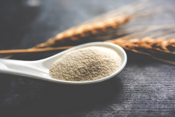 Raw unprepared semolina flour also known as Rava powder in Hindi in bowl or spoon. close-up...