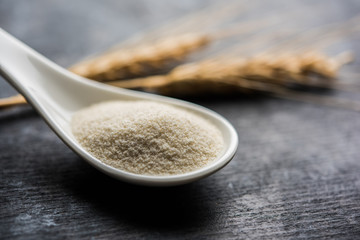 Raw unprepared semolina flour also known as Rava powder in Hindi in bowl or spoon. close-up isolated on white or moody background. selective focus