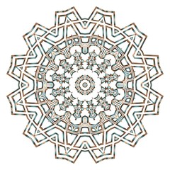 Vector mandala. Flower modern design. Vector illustration.