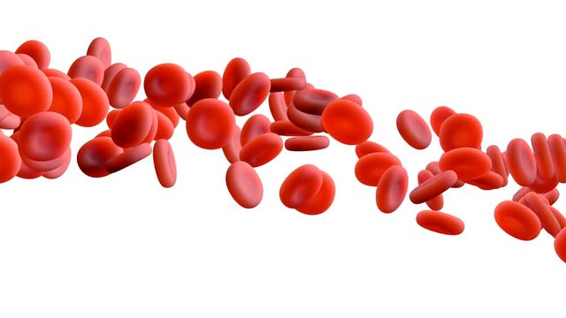 Blood cells traveling in a blood vessel with Alpha Mask