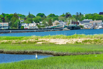 Great White Egret New Padnaram Bridge Harbor Village Dartmouth Massachusetts