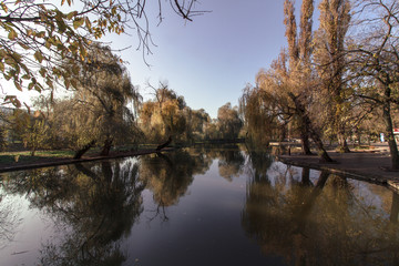 Reflection of the soul