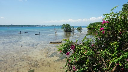 tropical wasini island © chriss73